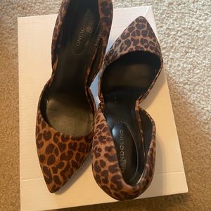 Cheetah pumps